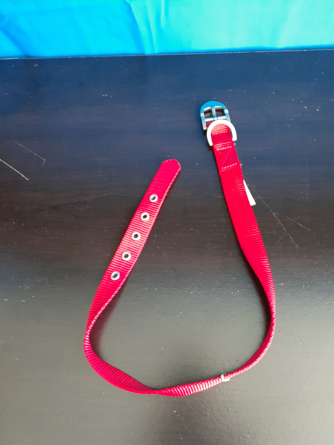 Top Paw Red Collar