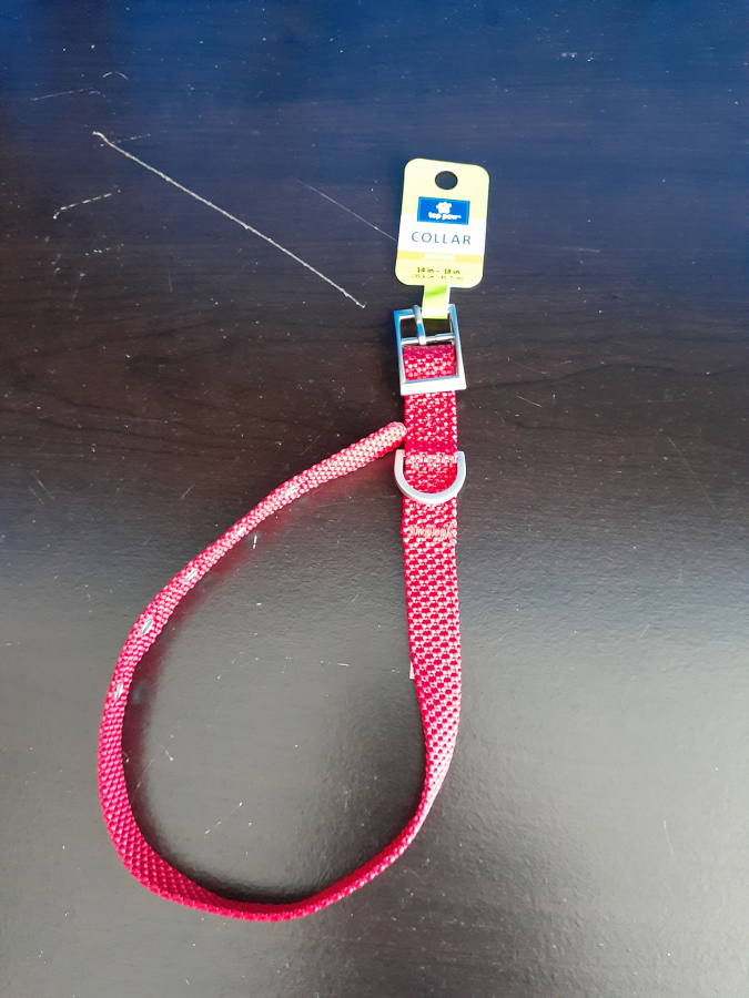 Top Paw Red Buckle Collar