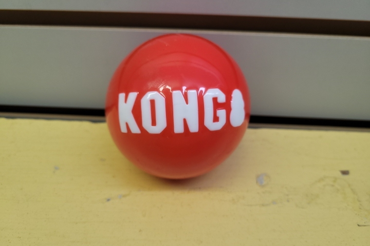KONG Signature Ball Bulk Lg